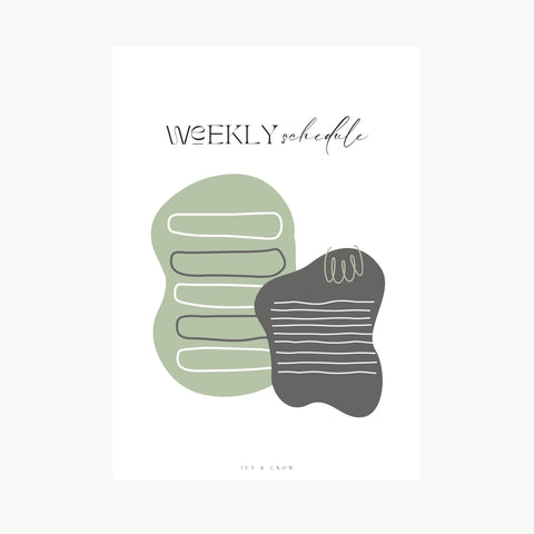 Dashboard | Monthly Plans & Weekly Schedule