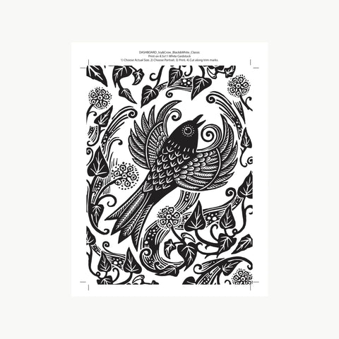 Dashboard | Ivy And Crow