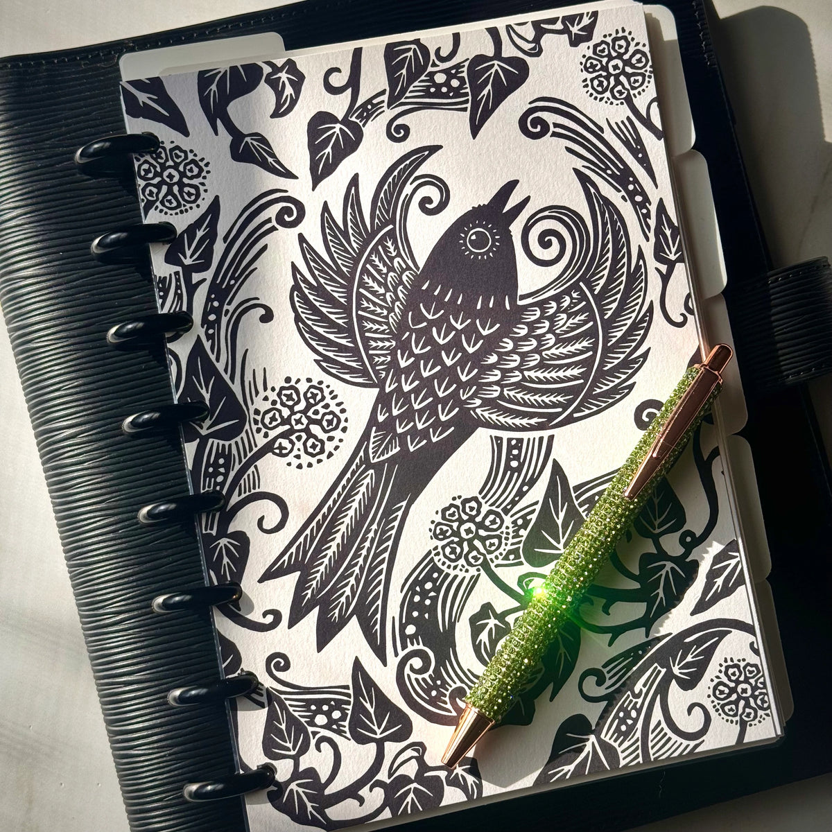 Dashboard | Ivy And Crow